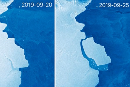 В Антарктиде образовался айсберг весом 315 млрд тонн