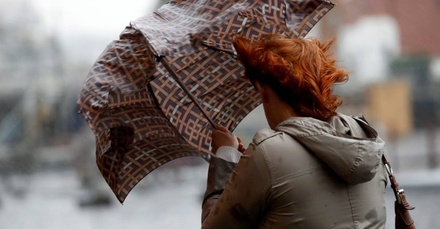 Жёлтый уровень погодной опасности объявлен в Москве из-за ветра