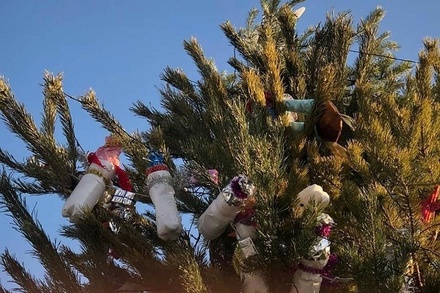 Власти Хвалынска пообещали украсить городскую ёлку после жалоб жителей на игрушки из бутылок