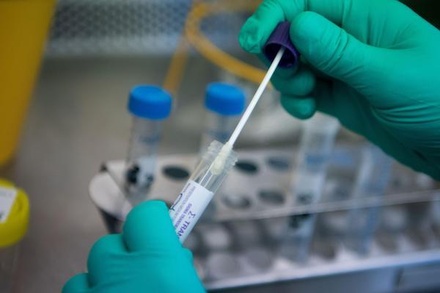 В России начали выпускать новую тест-систему для выявления коронавируса