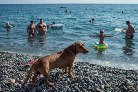 В Роспотребнадзоре не подтвердили информацию о массовых отравлениях на Чёрном море 