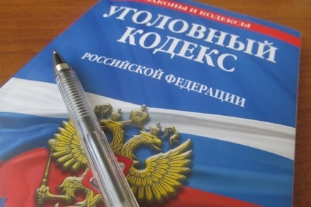 Госдума в первом чтении приняла поправки к закону о декриминализации побоев