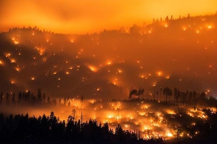 Число погибших в результате природных пожаров в Калифорнии увеличилось до 23