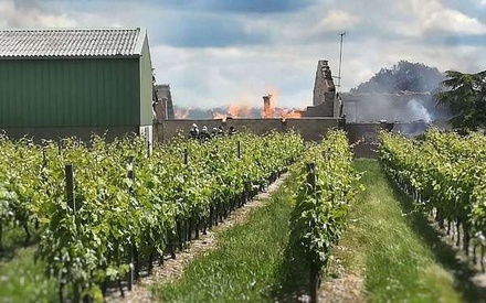 Пожар на французской винодельне уничтожил более 250 тысяч литров коньяка