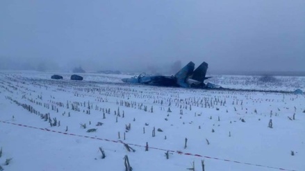 В интернете появились фото упавшего на Украине Су-27