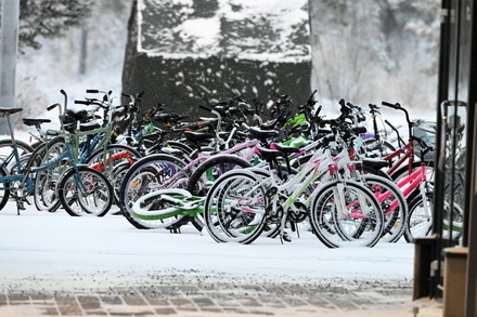 Финская таможня выставила на аукцион брошенные на границе велосипеды