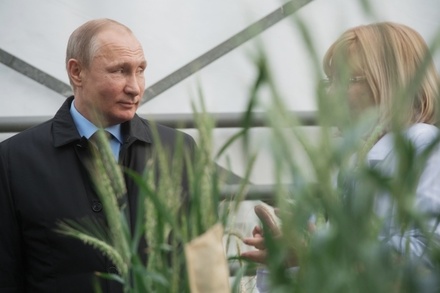 Путин заявил о гарантиях России по обеспечению перевозки украинского зерна