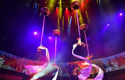 Большой Московский цирк опроверг информацию о недопуске китайцев на представления