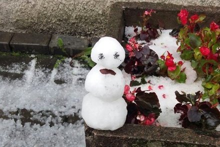 Жители Санкт-Петербурга слепили снеговика из июньского града