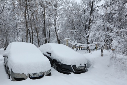 Власти просят москвичей отказаться от поездок на личных автомобилях до конца недели