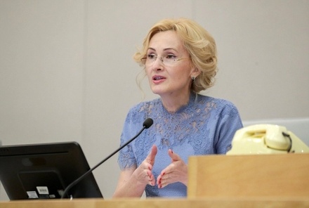Ирина Яровая предложила ужесточить наказание за реабилитацию нацизма в интернете
