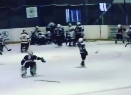 СМИ: 10-летние хоккеисты устроили массовую драку в Оренбургской области