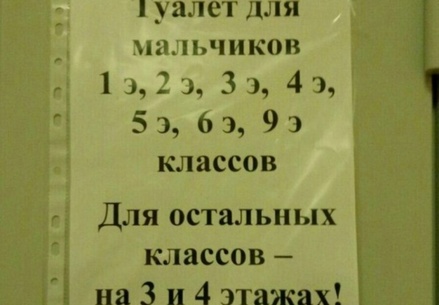 Ростовские чиновники рассказали о поисках туалета для «элитных» детей в школе № 96