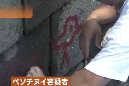 Отец арестованного в Японии за граффити гражданина РФ обратится в МИД