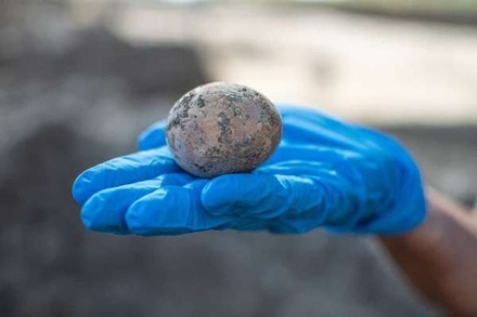 В Израиле археологи обнаружили куриное яйцо возрастом тысячу лет