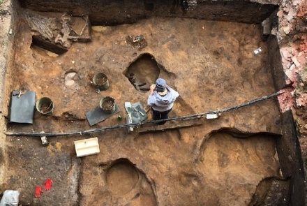 В Зарайске нашли череп мамонта с кладом внутри