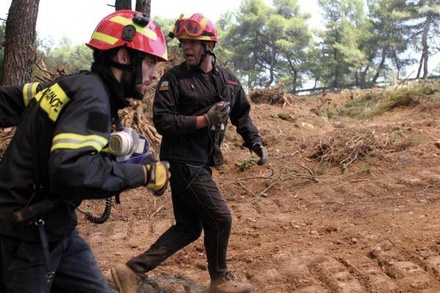 Премьер Греции объявил трёхдневный траур по жертвам лесных пожаров