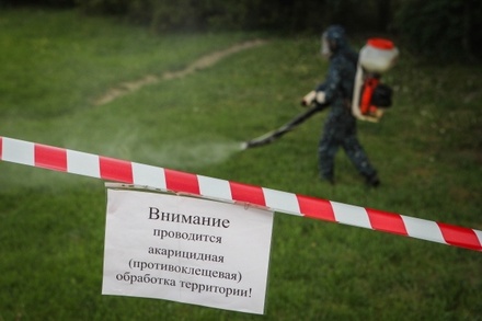 Эпидемиолог назвала краткосрочным эффект от обработки парков в Москве против клещей 