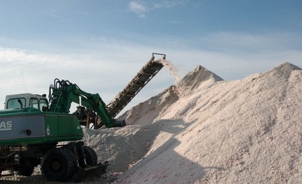 Сын генпрокурора России стал владельцем крупнейшего производителя соли