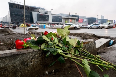 В Госдуме заявили о непосредственном отношении Киева к теракту в «Крокус Сити Холле»