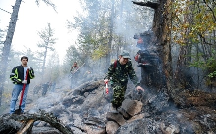 Площадь природных пожаров в Иркутской области превысила 300 тыс. га