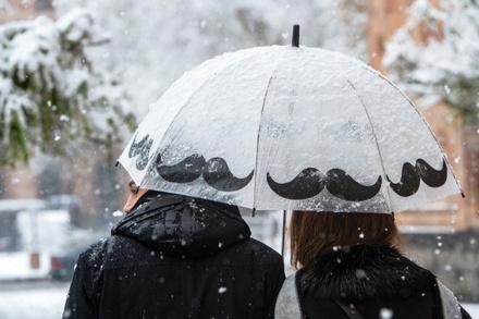 Орнитологи рекомендовали москвичам защищаться от агрессивных ворон зонтами