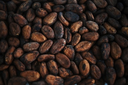 Цены на какао-бобы впервые превысили 10 тысяч долларов за тонну