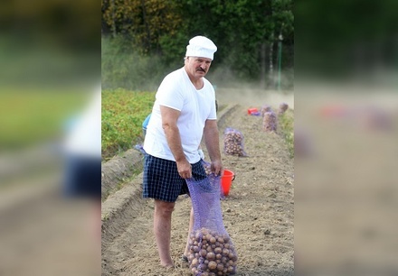 Александр Лукашенко назвал экспорт картофеля спасением для белорусской экономики