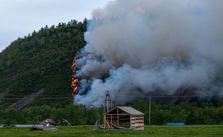 Greenpeace: сейчас в России горит почти 1 млн гектаров леса