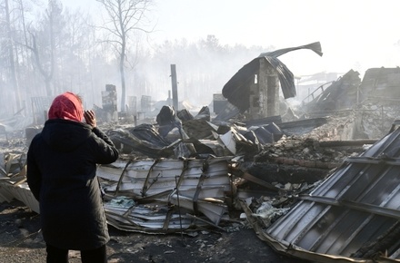 Роман Вильфанд сообщил о пожарной опасности в 12 регионах