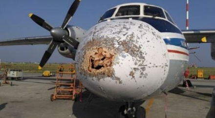 Самолёт «Полярных авиалиний» получил повреждение в ходе полёта в Якутск
