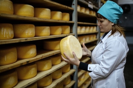 Россельхознадзор назвал фальсификатом 78% произведённого в России сыра