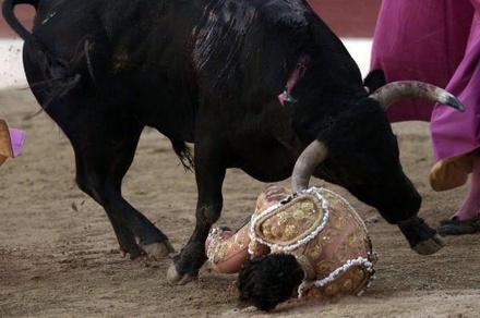 На корриде во Франции бык убил знаменитого испанского матадора