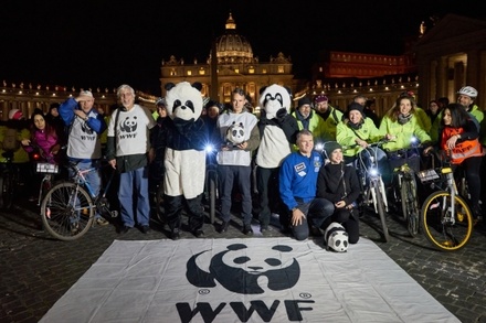В Госдуме допустили внесение Greenpeace и WWF в список иноагентов