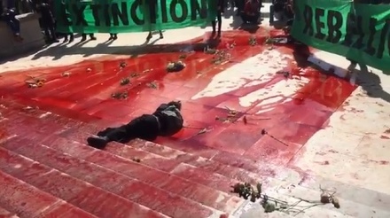 В центре Парижа активисты разлили 300 литров бутафорской крови