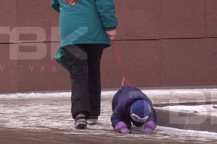 Детский омбудсмен Красноярска проверила семью мальчика, которого выгуливали на поводке