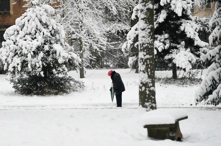 В 11 департаментах Франции объявлен оранжевый уровень погодной опасности из-за снегопада