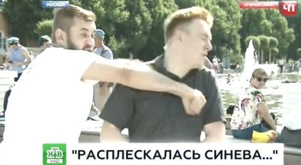 Ударивший корреспондента НТВ в парке Горького пойдёт под суд по статье «Побои»