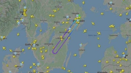 В Стокгольм вернулся самолёт со шведской сборной по плаванию 