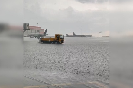 В Москве после ливня подтопило часть аэропорта Шереметьево