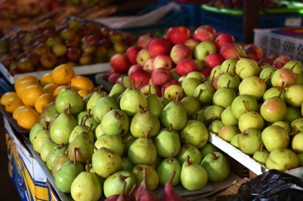 Россия запретит ввоз яблок и груш из Белоруссии