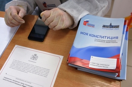 В Совфеде заявили о «внешней атаке» на голосование по Конституции России