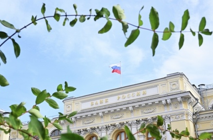 Эксперт ЦБ рассказал о трудностях в борьбе с нелегальными кредиторами