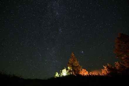 Астрономы анонсировали звездопад в начале нового года