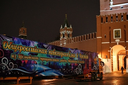 В Кремль привезли главную новогоднюю ёлку России