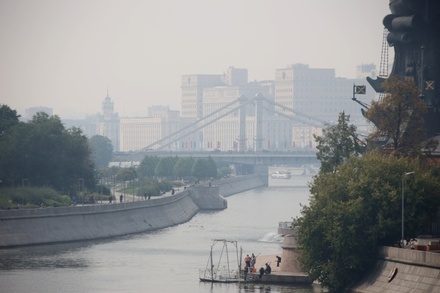 Синоптик заявил о расширении географии дыма от лесных пожаров в московском регионе
