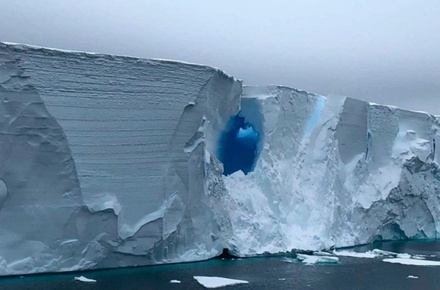 Гляциолог РАН предупредила о риске подтопления Санкт-Петербурга и Нью-Йорка из-за таяния айсберга