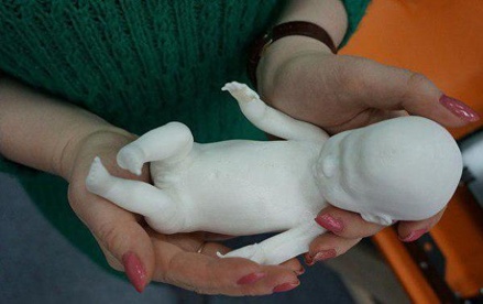 В Екатеринбурге будущие родители напечатали на 3D-принтере 5-месячный эмбрион