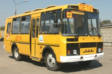 В Ростовской области задержали пьяного водителя школьного автобуса с детьми