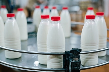 В Молочном союзе России не ждут понижения цен на молоко